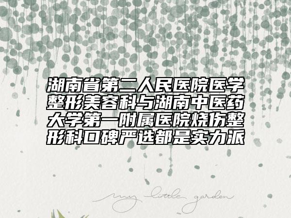 湖南省第二人民醫(yī)院醫(yī)學(xué)整形美容科與湖南中醫(yī)藥大學(xué)第一附屬醫(yī)院燒傷整形科口碑嚴(yán)選都是實(shí)力派