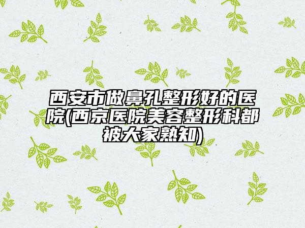 西安市做鼻孔整形好的醫(yī)院(西京醫(yī)院美容整形科都被大家熟知)