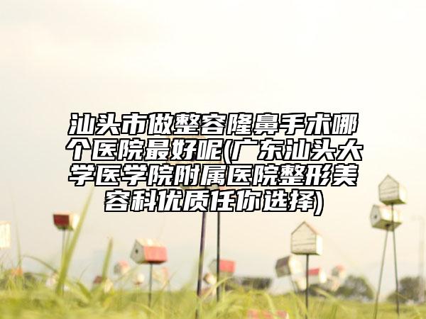 汕頭市做整容隆鼻手術(shù)哪個醫(yī)院最好呢(廣東汕頭大學(xué)醫(yī)學(xué)院附屬醫(yī)院整形美容科優(yōu)質(zhì)任你選擇)