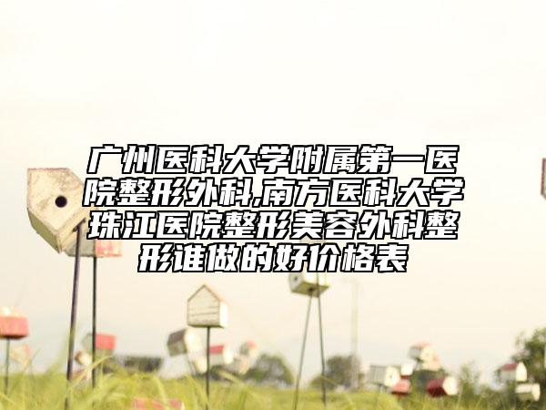 廣州醫(yī)科大學附屬第一醫(yī)院整形外科,南方醫(yī)科大學珠江醫(yī)院整形美容外科整形誰做的好價格表