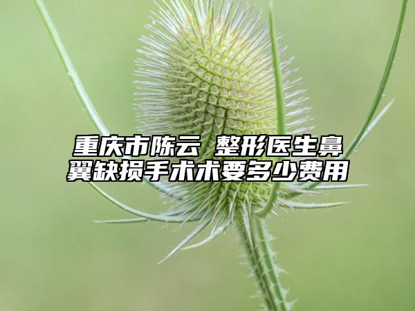 重慶市陳云堃整形醫(yī)生鼻翼缺損手術(shù)術(shù)要多少費(fèi)用