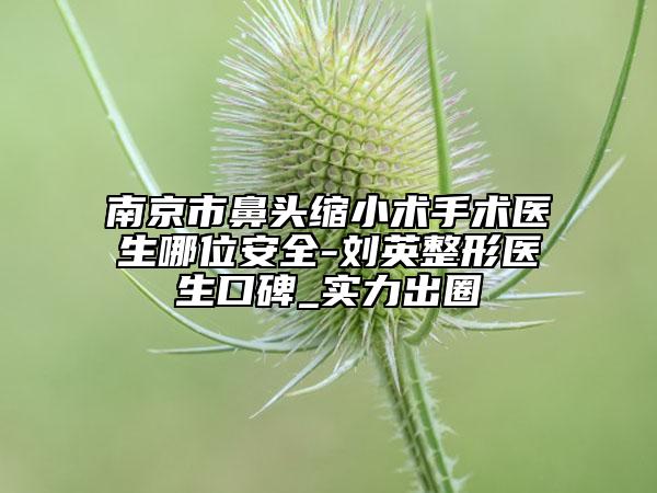 南京市鼻頭縮小術(shù)手術(shù)醫(yī)生哪位安全-劉英整形醫(yī)生口碑_實力出圈