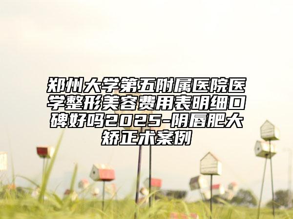鄭州大學(xué)第五附屬醫(yī)院醫(yī)學(xué)整形美容費用表明細口碑好嗎2025-陰唇肥大矯正術(shù)案例