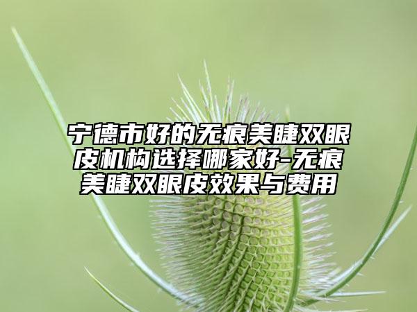 寧德市好的無痕美睫雙眼皮機構(gòu)選擇哪家好-無痕美睫雙眼皮效果與費用