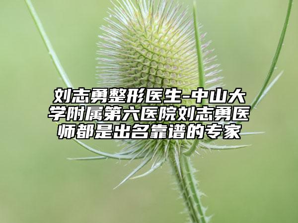 劉志勇整形醫(yī)生-中山大學(xué)附屬第六醫(yī)院劉志勇醫(yī)師都是出名靠譜的專家