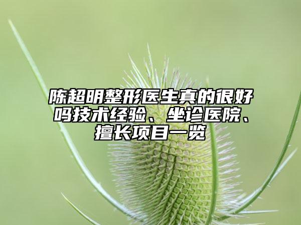 陳超明整形醫(yī)生真的很好嗎技術(shù)經(jīng)驗(yàn)、坐診醫(yī)院、擅長項目一覽