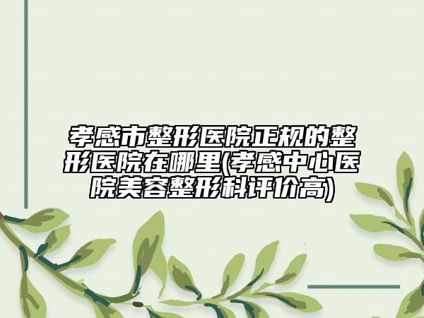 孝感市整形醫(yī)院正規(guī)的整形醫(yī)院在哪里(孝感中心醫(yī)院美容整形科評價高)