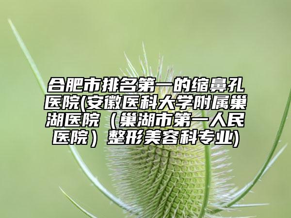 合肥市排名第一的縮鼻孔醫(yī)院(安徽醫(yī)科大學(xué)附屬巢湖醫(yī)院（巢湖市第一人民醫(yī)院）整形美容科專業(yè))