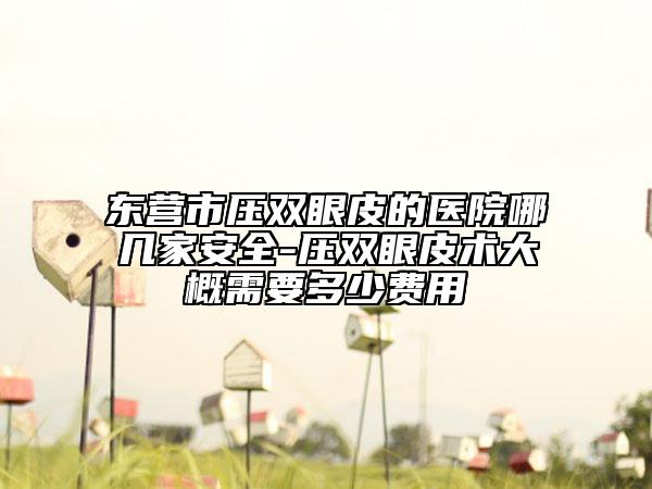 東營市壓雙眼皮的醫(yī)院哪幾家安全-壓雙眼皮術大概需要多少費用