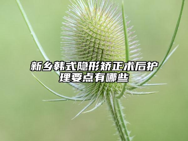 新鄉(xiāng)韓式隱形矯正術(shù)后護理要點有哪些